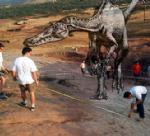 Fundacin para el estudio de los Dinosaurios en Castilla y Len