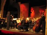 Orquesta Sinfnica de Transilvania