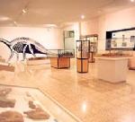 Museo Arqueolgico-Paleontolgico de Salas