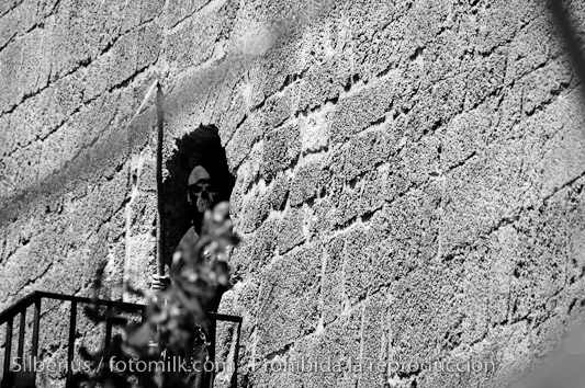 _DSC4171 copia