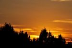 FOTOSabinas al atardecer